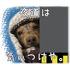 [LINEスタンプ] 関西弁を喋る犬ちょこ太くん。