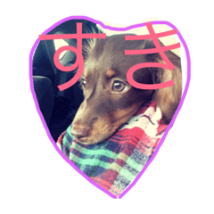 [LINEスタンプ] みにちゅあだっくす
