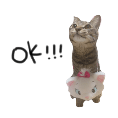 [LINEスタンプ] わんこ！