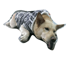 [LINEスタンプ] Slippers dog