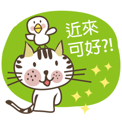 [LINEスタンプ] Little miao miao love play ＆ you！！！Part3の画像（メイン）