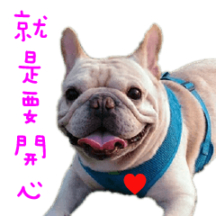 [LINEスタンプ] French Bulldog Three Brothers