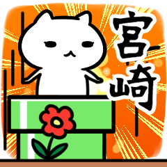 [LINEスタンプ] 宮崎さん専用スタンプ40個入り