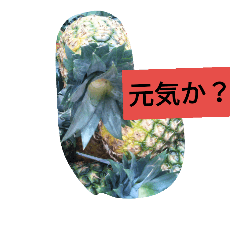 [LINEスタンプ] パイナップルたち