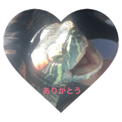 [LINEスタンプ] ちょびの日常 2
