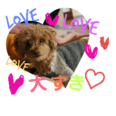 [LINEスタンプ] マル家のりんちゃん
