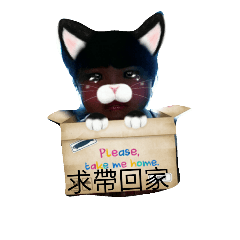 [LINEスタンプ] Happy baby and cat