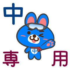 [LINEスタンプ] 「中」さん専用スタンプ