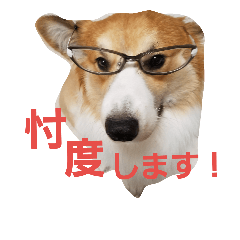 [LINEスタンプ] コーギーのこやあど