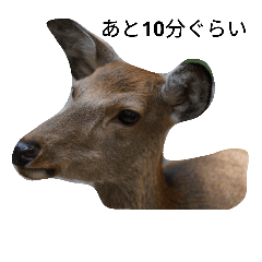 [LINEスタンプ] ひと言フレーズ