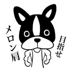 [LINEスタンプ] 筋肉 ぶるちゃん