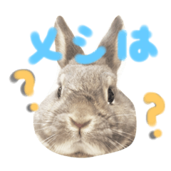 [LINEスタンプ] うさぎのやわた