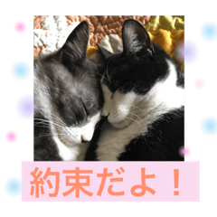 [LINEスタンプ] 永田家の癒し。