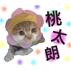 [LINEスタンプ] ももももももももくん