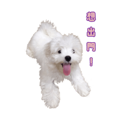 [LINEスタンプ] Q baby say hi