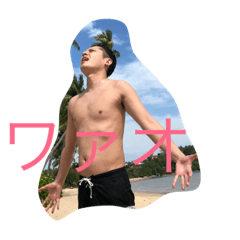 [LINEスタンプ] hacci everyday