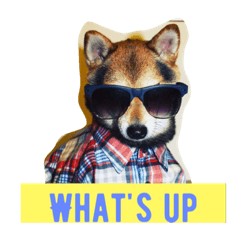 [LINEスタンプ] hi I'm henny