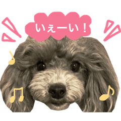 [LINEスタンプ] JILLスタンプ