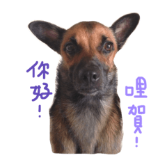 [LINEスタンプ] Mumu's fighting back