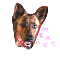 [LINEスタンプ] Taiwan Brindle Dog