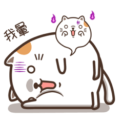 [LINEスタンプ] Mochi Cat - meow meow meowの画像（メイン）