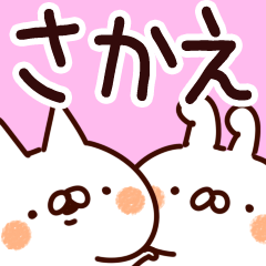 [LINEスタンプ] 【さかえ】専用の画像（メイン）