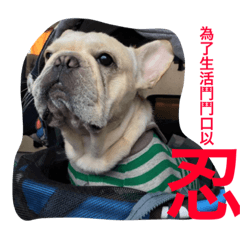 [LINEスタンプ] French bulldogs nonsenses ll