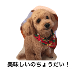 [LINEスタンプ] 我が家の愛しのはな君！