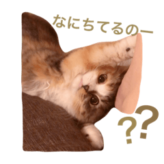 [LINEスタンプ] シェルさんスタンプ4