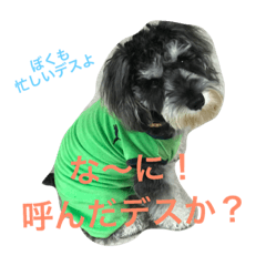 [LINEスタンプ] あるとデス