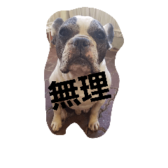 [LINEスタンプ] jiejiegugu