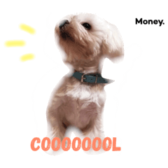 [LINEスタンプ] Money's.