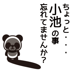 [LINEスタンプ] 小池さんと小池さんの友達専用