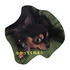 [LINEスタンプ] 8w