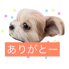 [LINEスタンプ] ジルレイララ