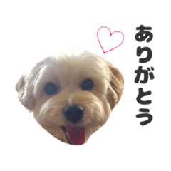 [LINEスタンプ] malpoomotiokun