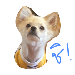 [LINEスタンプ] pungsame