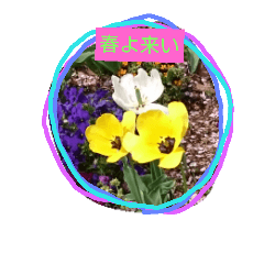 [LINEスタンプ] 春よ来い