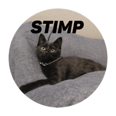 [LINEスタンプ] 黒猫STIMP