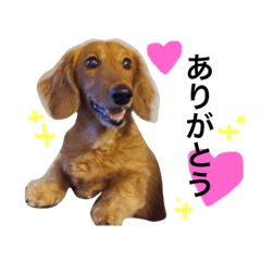 [LINEスタンプ] さんちゃん。