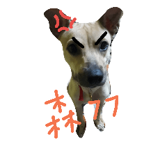 [LINEスタンプ] chuchudog