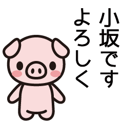 [LINEスタンプ] 小坂さんと小坂さんの友達専用