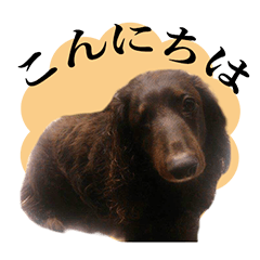 [LINEスタンプ] 僕は片目のウィンク