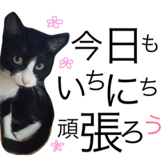 [LINEスタンプ] のらてん♩②