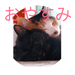 [LINEスタンプ] ゆぃ＆もぁ2