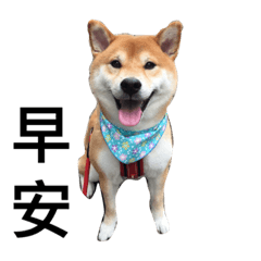 [LINEスタンプ] Chi Tung