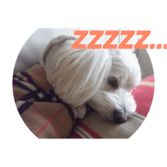 [LINEスタンプ] ワンダフルライフ part1