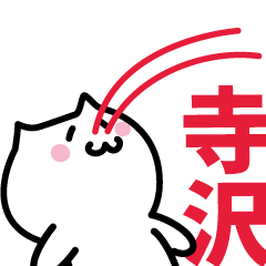 [LINEスタンプ] 寺沢 専用スタンプ！！！