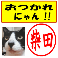 [LINEスタンプ] はんこだポン柴田様用、顔文字と猫写真付の画像（メイン）