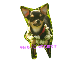 [LINEスタンプ] おとちゃんLove